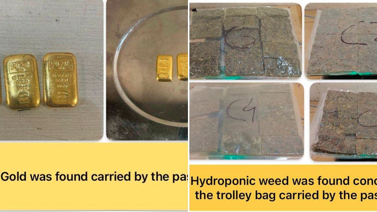 Mumbai Airport Customs Seizes 12 Kg Weed Worth ₹12 Crore, Gold In Week-Long Anti-Smuggling Drive
