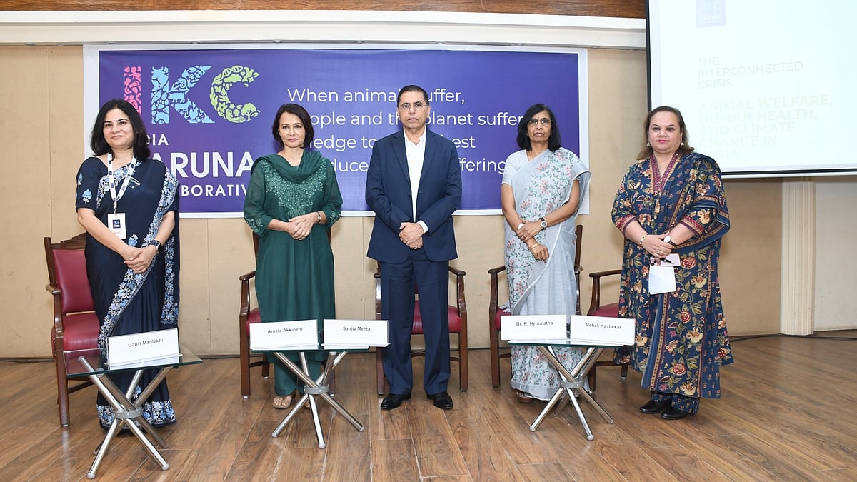 Sorry! Image not available at this time