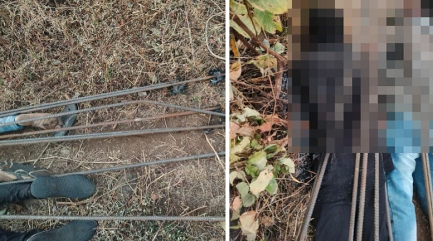 MP News: Two Arrested After Uncle, Nephew Electrocuted To Death By Live Wires Set To Kill Wild Boars In Jabalpur