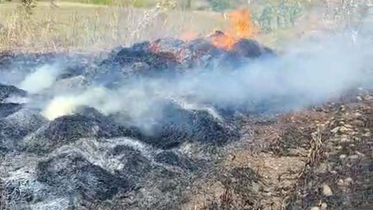 MP News: Crop Fire Incidents Due To Overhead Powerlines, Says Farmers