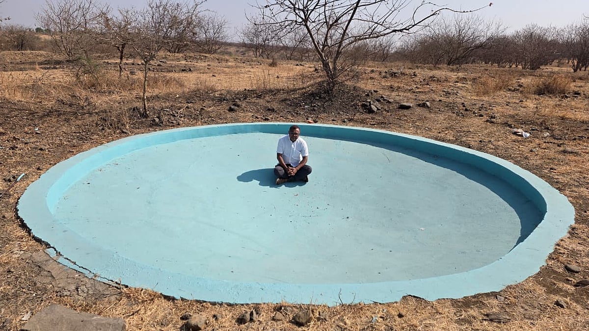 Beed Forest Water Crisis: Animals Move Towards Human Settlements In Search Of Water