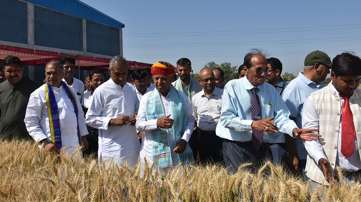 MP News: Union Minister Bhagirath Choudhary Bats For Organic Farming In Mandsaur