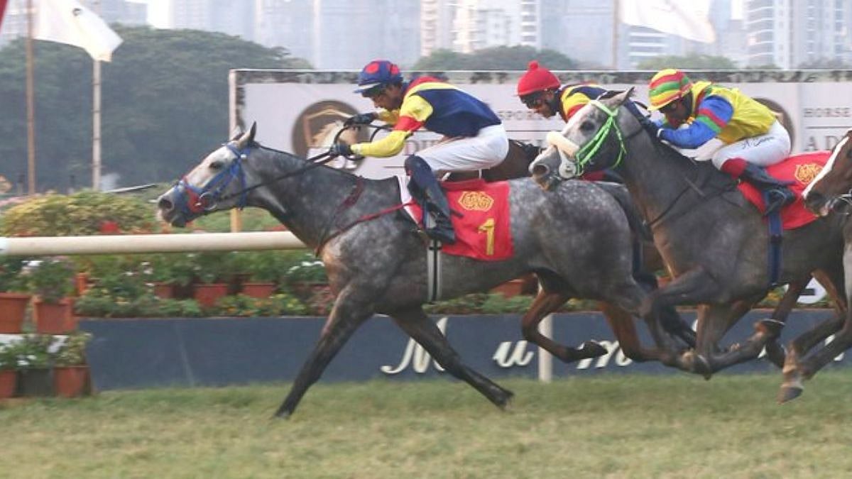 Mumbai Races: King Ke Leads Field In C N Wadia Gold Cup Grade 2 Showdown At Mahalaxmi
