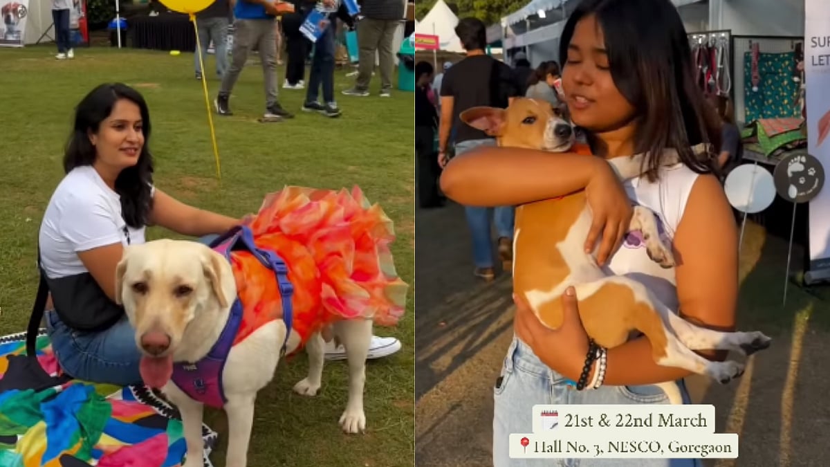 India’s Largest Pet Festival ‘Pet Fed’ To Take Over Mumbai’s Goregaon; 15,000 Visitors Expected To Visit