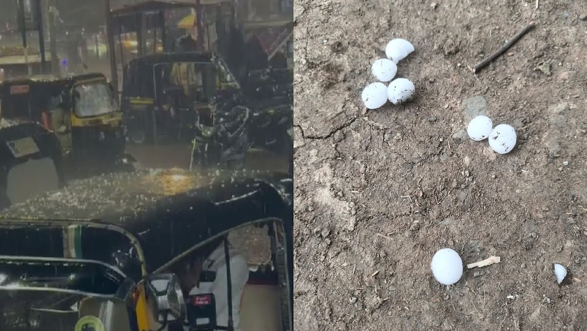 VIDEO: Hailstorm Batters Latur District, Damages Standing & Harvested Rabi Crops