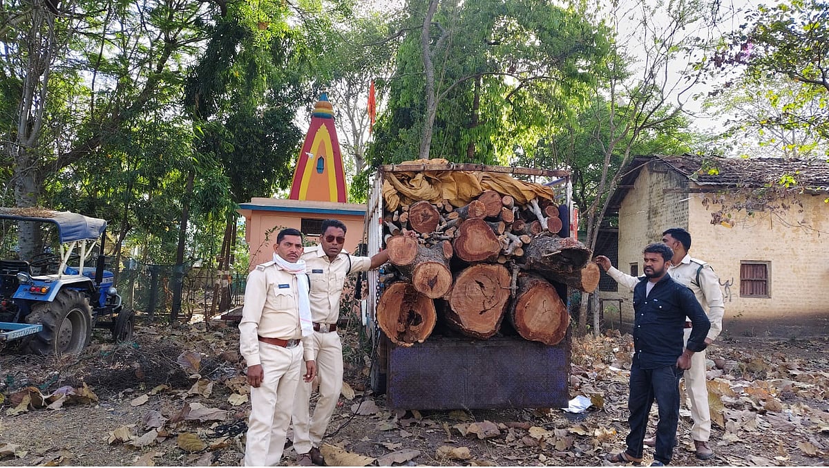 MP News: Major Crackdown On Illicit Timber Transport In Dhar