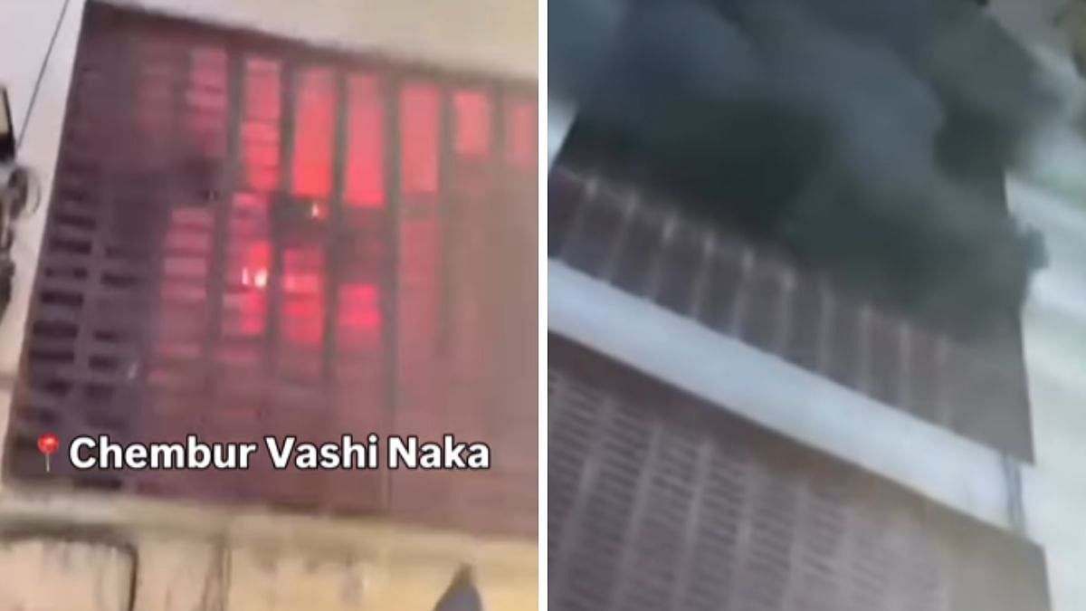 Mumbai: Over 40 Animals Rescued After Massive Fire Breaks Out In Chembur Building; VIDEOS