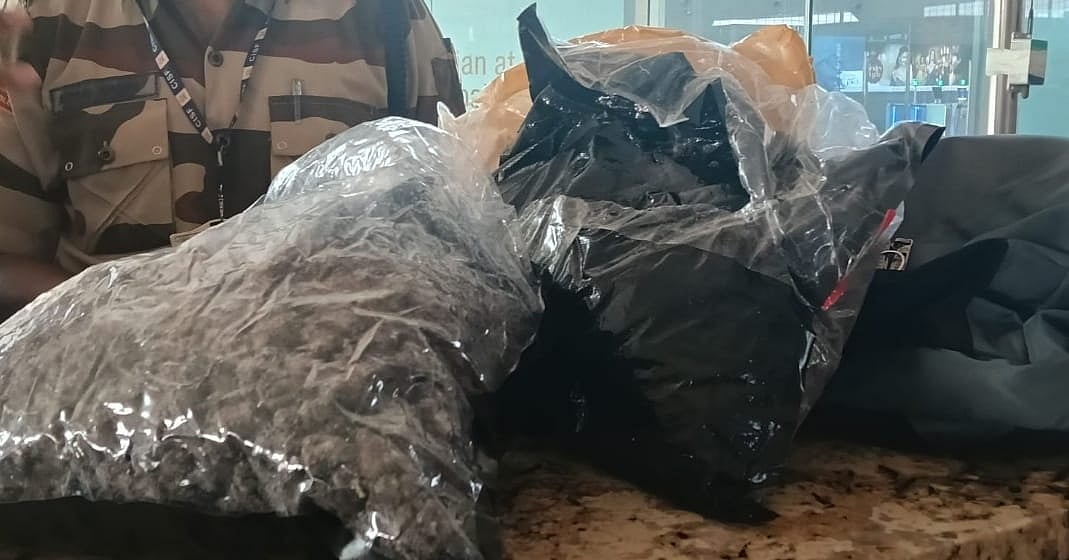 Mumbai Airport Drug Bust: CISF Seizes ₹2 Crore Hydroponic Weed, Loader Arrested
