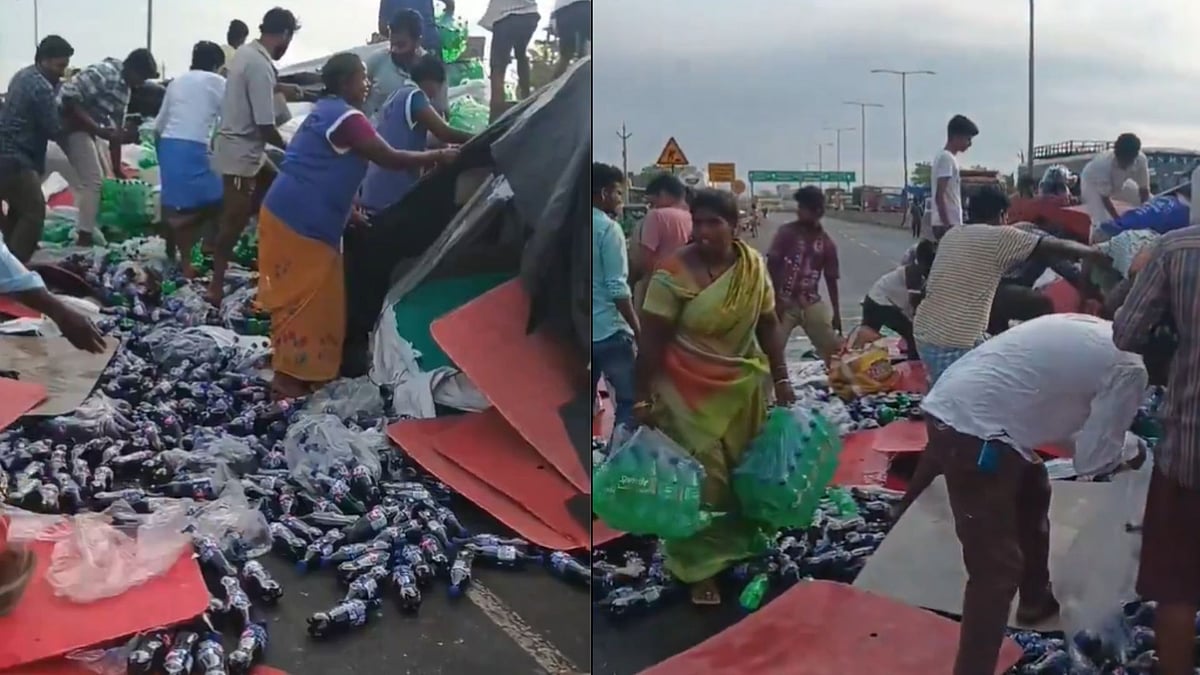 'Loot Lo, Loot Lo': Truck Carrying Soft Drink Bottles Topples In Andra Pradesh, Crowd Rushes To Steal Them - VIDEO
