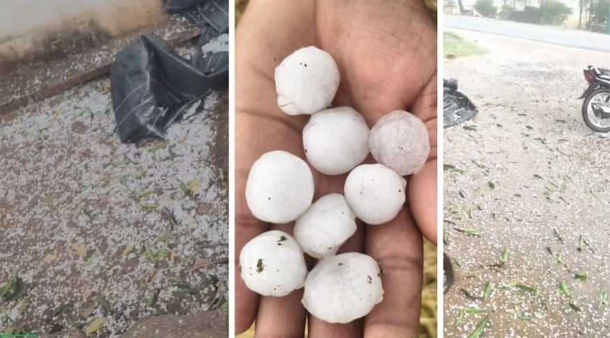 MP News: Hailstorm Hit Nearly 50% Crops In Gwalior-Chambal Region; VIDEO Shows Ground Completely Covered With Spherical Hailstones