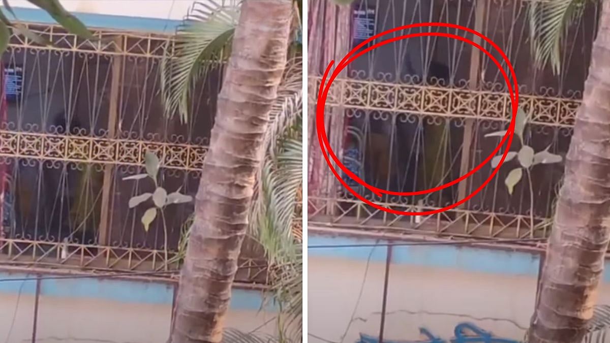 Shocking! Elderly Woman Allegedly Assaulted At Old-Age Home In Mumbai; Video Sparks Outrage