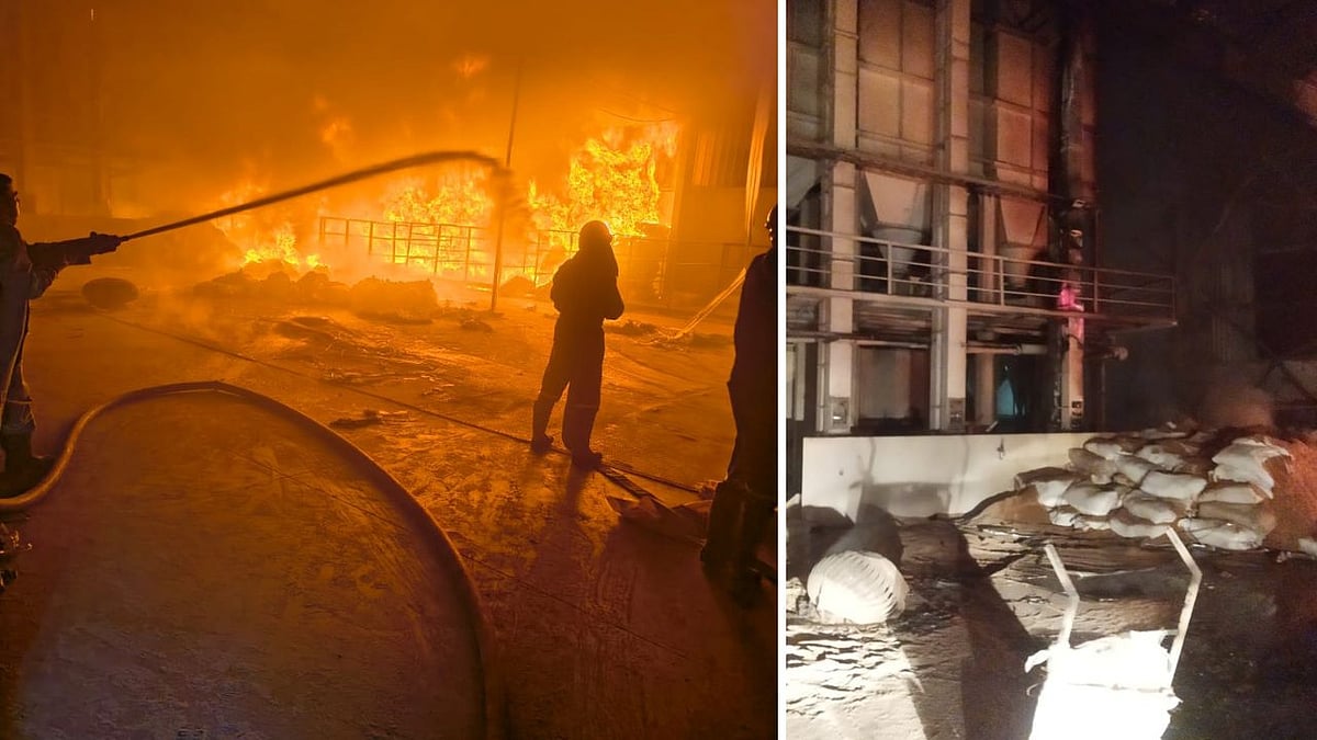 Indore News: Massive Fire Breaks Out At Cattle Feed Factory Near Devguradia Temple