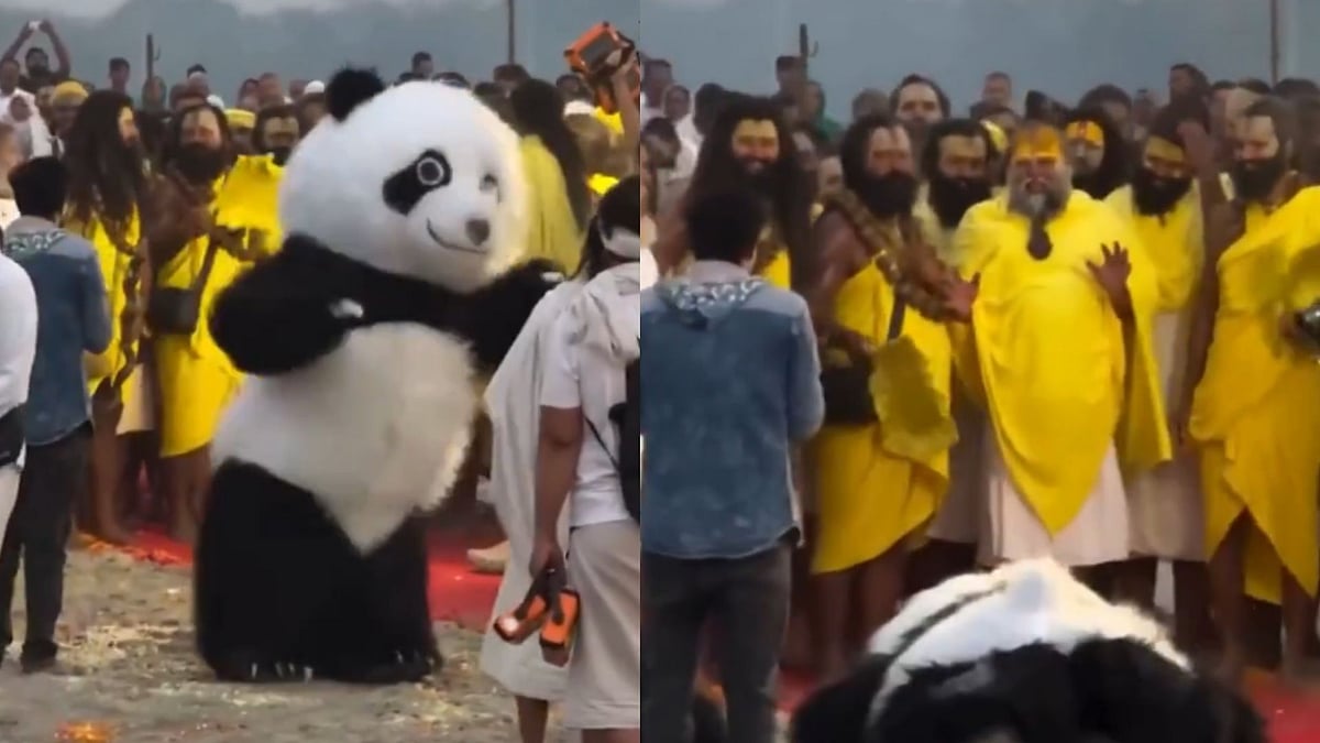 Sorry! Image not available at this time