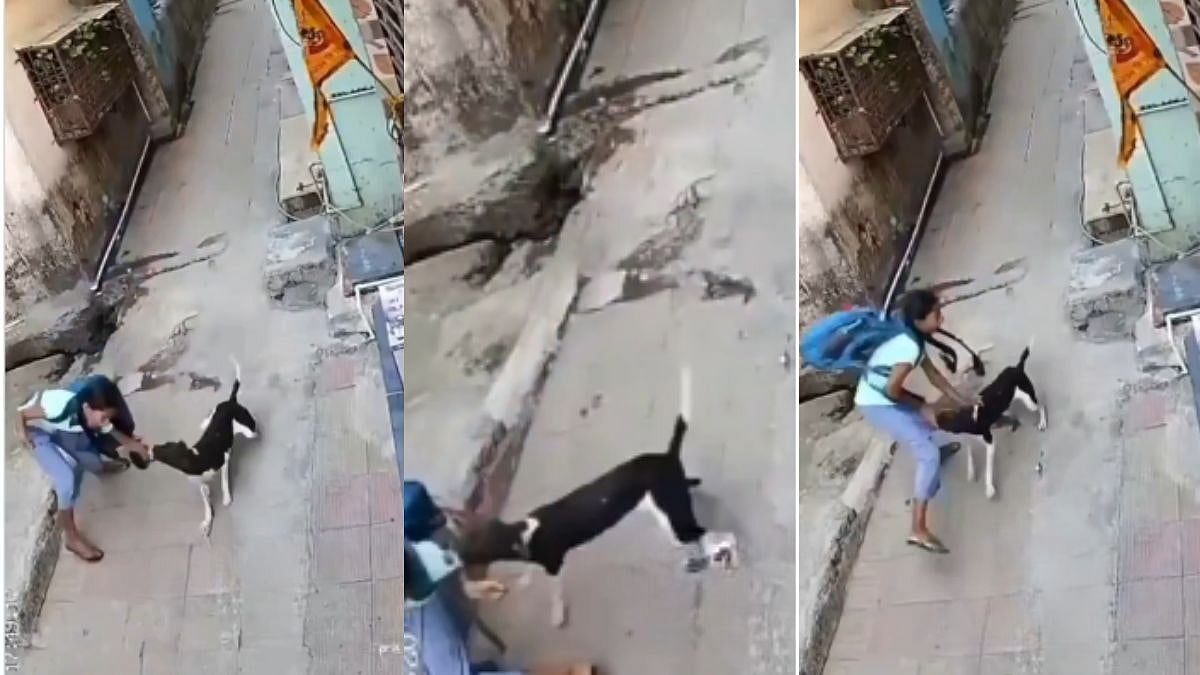 Thane Shocker! Stray Dog Brutally Attacks 11-Year-Old Girl In Ambernath; Child Heard Screaming In Pain | VIDEO 