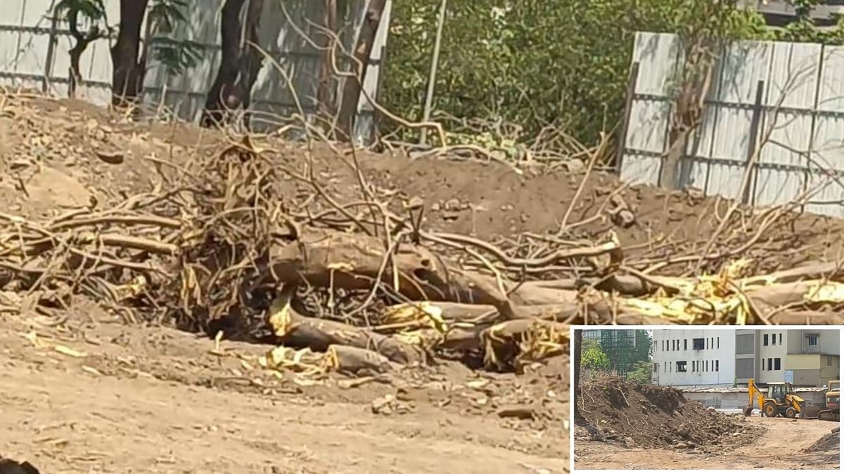 Civic officials inspect Ghansoli site as NMMC begins probe into alleged illegal tree felling | File Photo