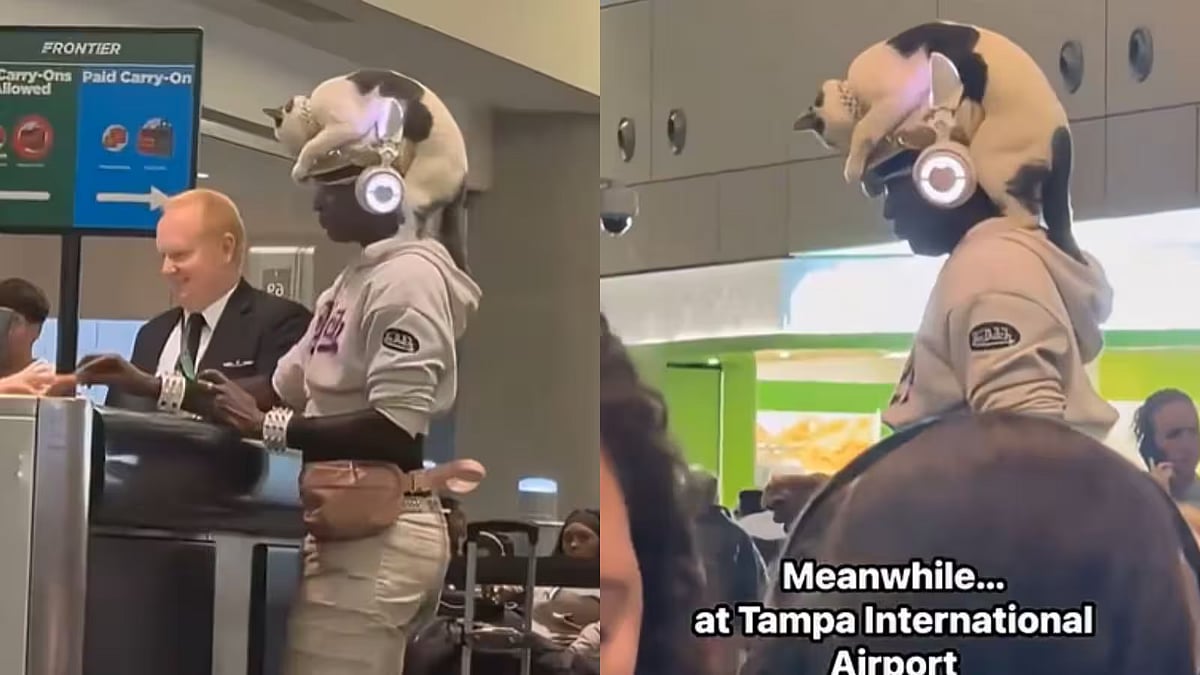 Viral Airport Video Shows Traveller Sneaking In Their Cat Disguised As A Hat; Internet Can’t Keep Calm - WATCH