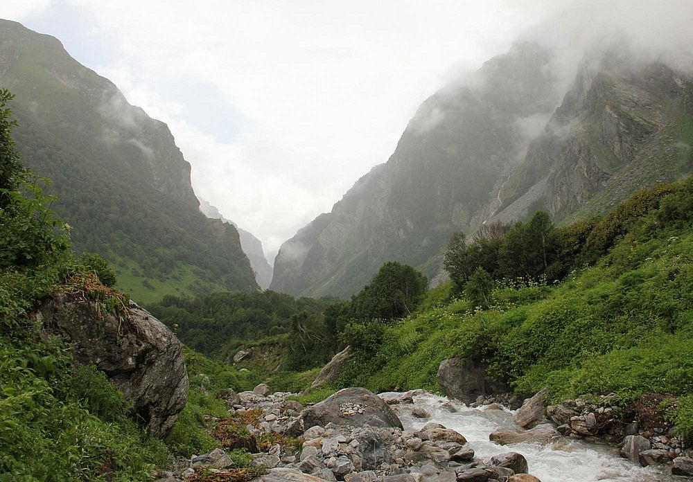 Valley of Flowers