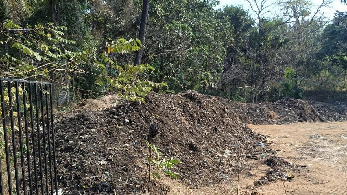 Mumbai News: Illegal Dumping From Mira-Bhayandar’s Uttan Site Reported In Gorai Villages, Activist Seeks BMC Action