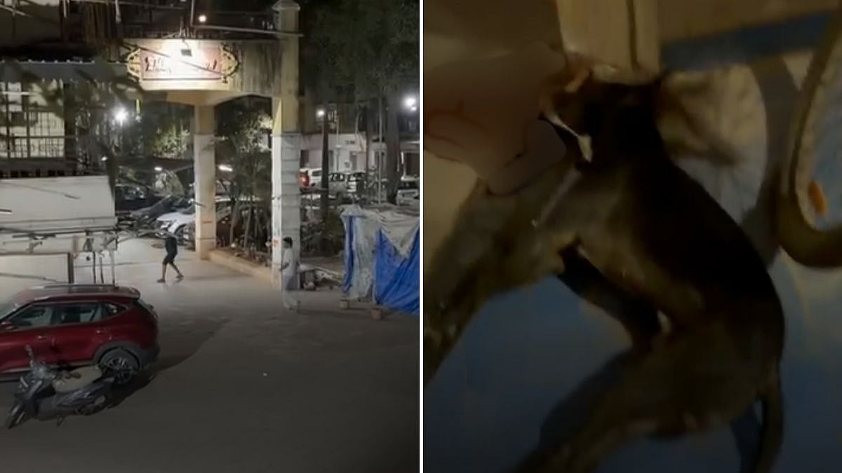 Kalyan Housing Society Row: Activists Accused Of Extortion, Residents Booked For Killing Stray Dog