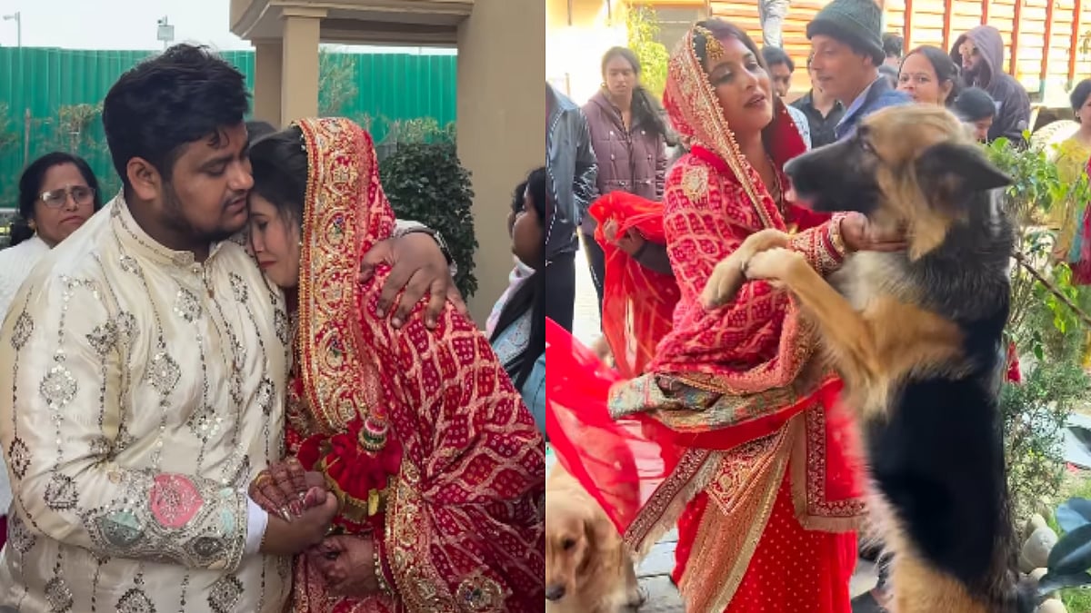 'She Said I Do, But Her Babies Said Goodbye': Bride's Emotional Vidaai Video With Pets Goes Viral; Internet Says 'Saath Lekar Jao'