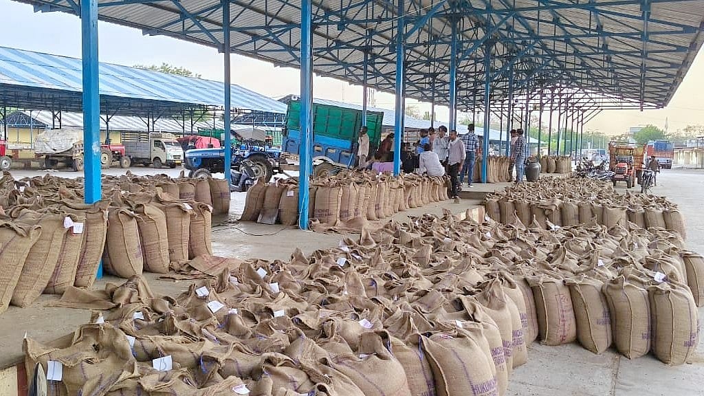 MP News: Chaos Hits Chickpea Procurement In Bhikangaon | FP Photo