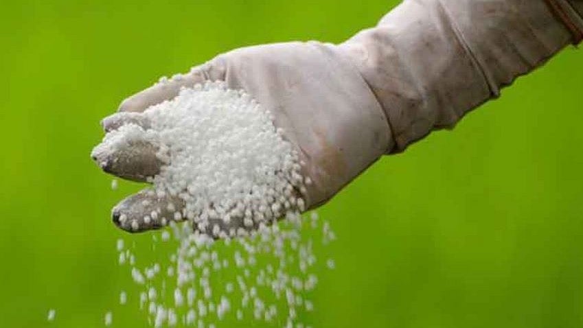 MP News: Notices Issued For Illegal Fertiliser Distribution In Mandsaur