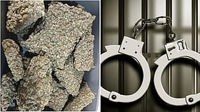 Mumbai Airport Customs arrest passengers in multiple Bangkok-linked hydroponic weed cases