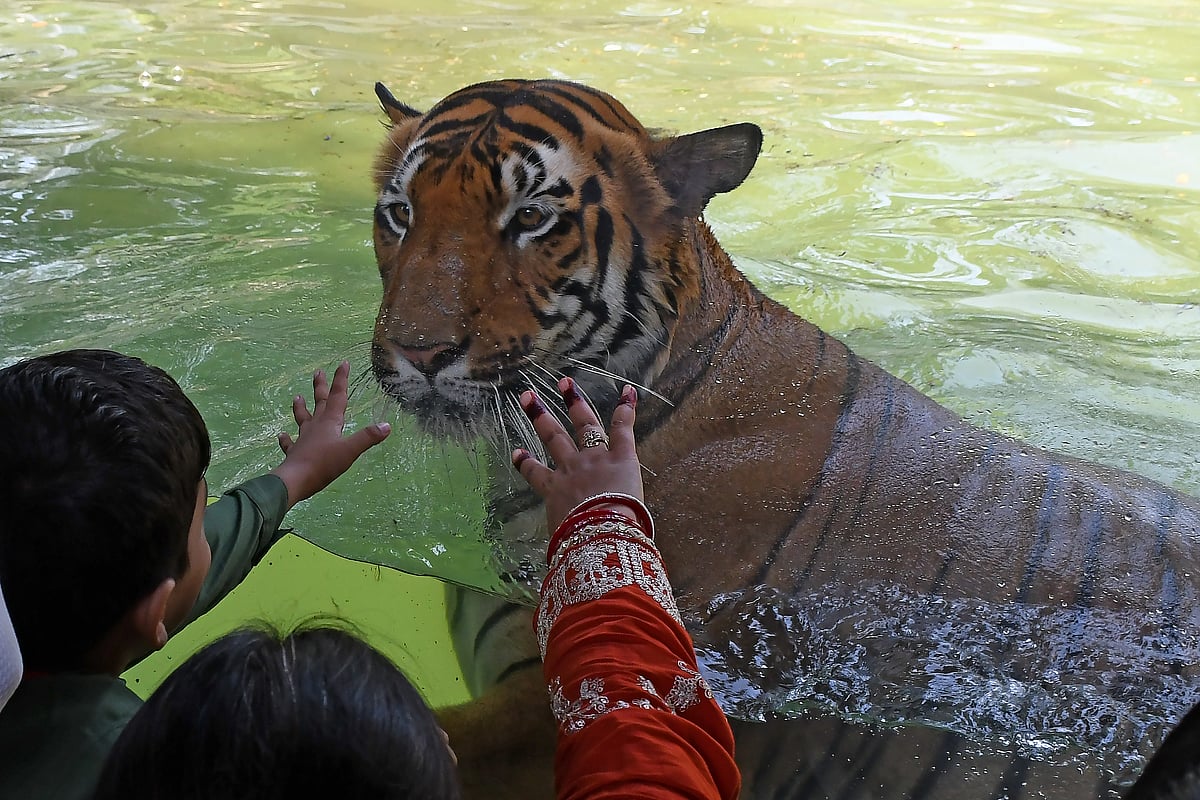 Visitors at Byculla Zoo on Sunday