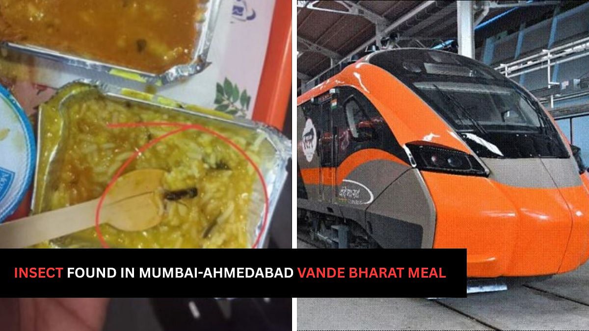 Disgusting! Insect Found In Meal Served On Mumbai-Ahmedabad Vande Bharat Express Train - PHOTOS