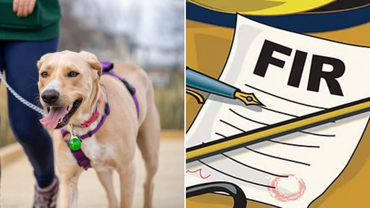 Shocking Animal Cruelty In Andheri West: Domestic Help Booked For Sexually Assaulting Two Pet Dogs Inside Flat