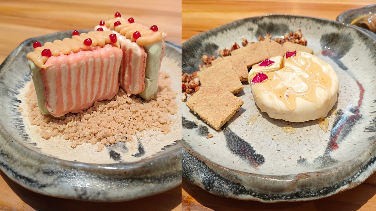 Matcha Ice Cream Sandwich and the Brie Cheesecake