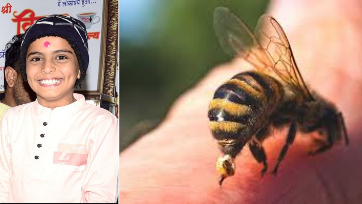 Bee Attack During Exam Claims 9-Year-Old Student’s Life In MP's Susner