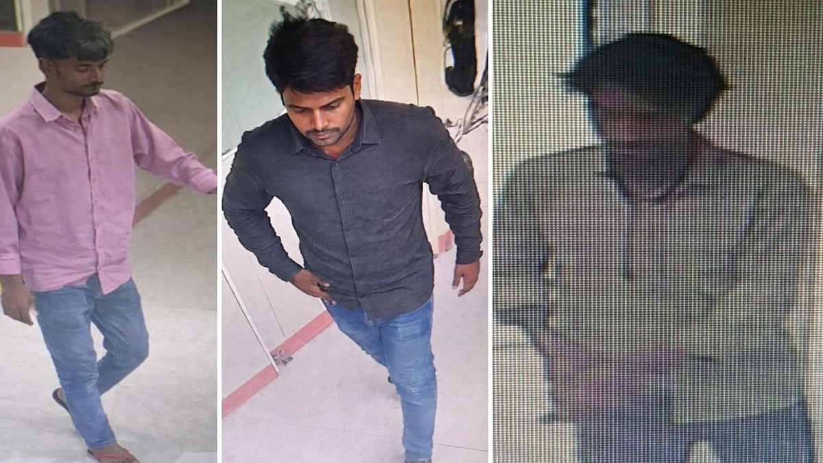 Shocker! 5 Armed Miscreants Barge Into Bank In Singrauli In Broad Daylight, Loot Gold Worth ₹5 Crore, ₹20 Lakh 