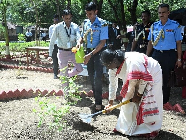 The President planted sapling 