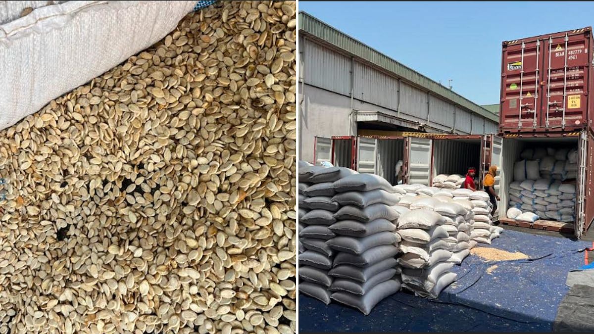 DRI Mumbai Busts Major Smuggling Racket Of Watermelon Seeds And Green Peas Worth ₹139 Crore At Nhava Sheva Port