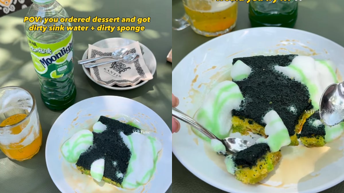 'I Fear I Would Vomit': Dirty Dishwashing Sponge & Sink Water Dessert From Singapore Goes Viral; Would You Try This Trend?
