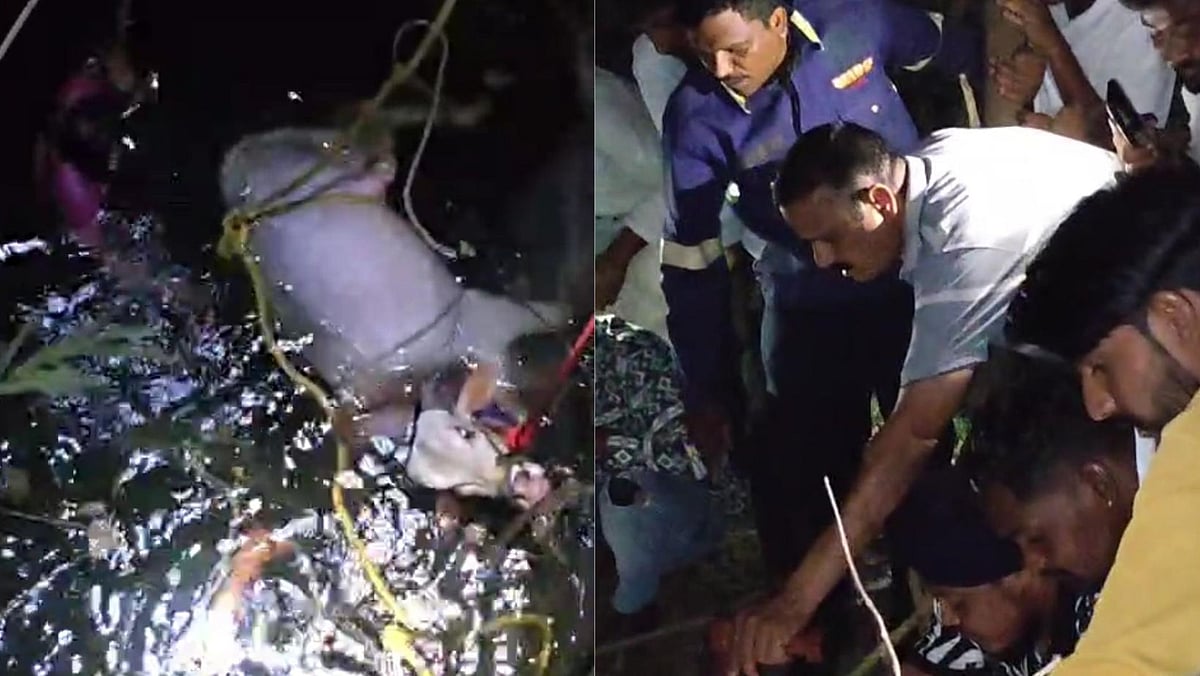 VIDEO: Bull Rescued After Falling Into Well In Chhatrapati Sambhajinagar’s Waluj Area