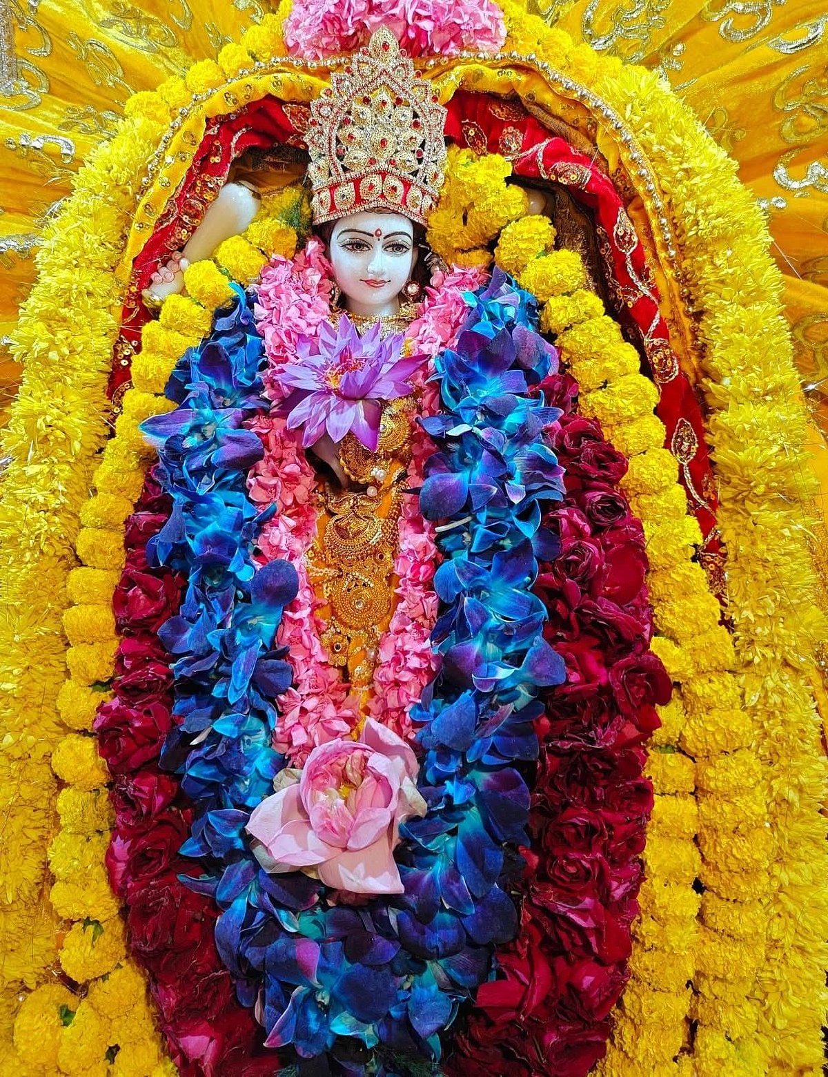 Goddess Baglamukhi