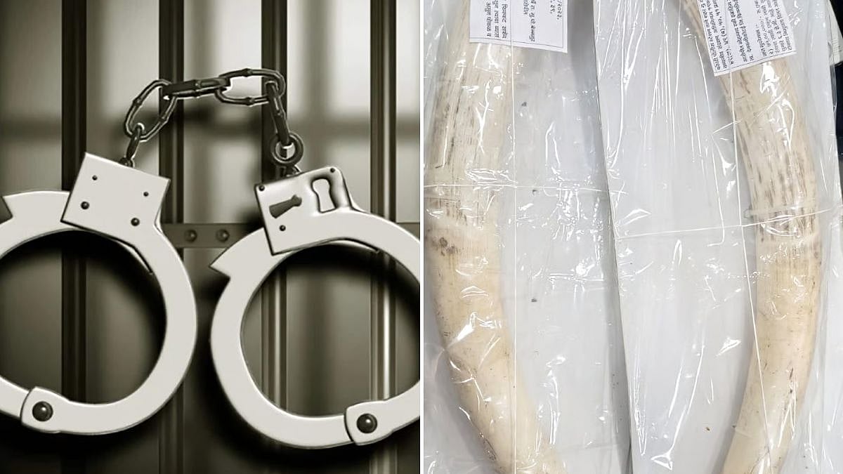 Chembur Police Arrest Four For Trying To Sell Elephant Tusks Worth ₹3.5 Crore; Forest Department Confirms Seizure