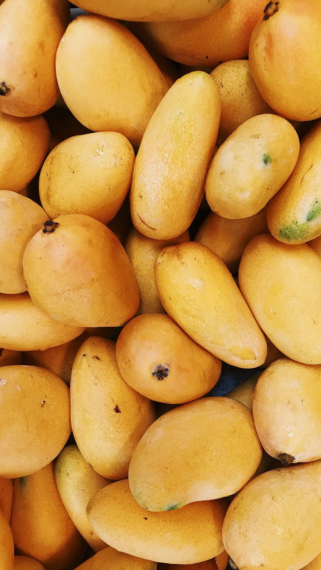 From Mango To Watermelon: 5 Summer Fruits Every Indian Is Obsessed With Right Now
