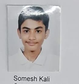 Somesh Kali