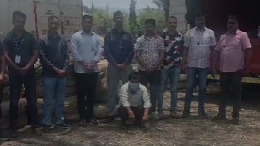VIDEO: Pune Police's Anti-Narcotics Cell Seizes Banned Gutka Consignment Worth ₹80 Lakh