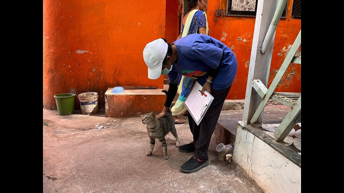 Nearly 71,000 stray animals have benefited from TFF’s work