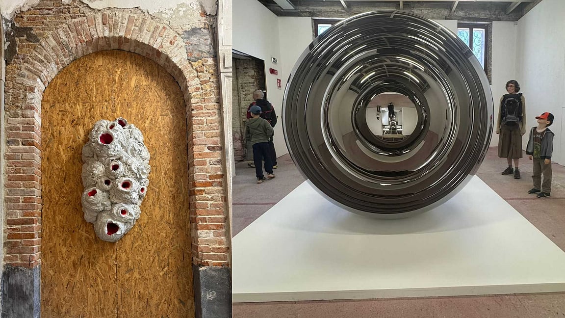 Anish Kapoor's art 