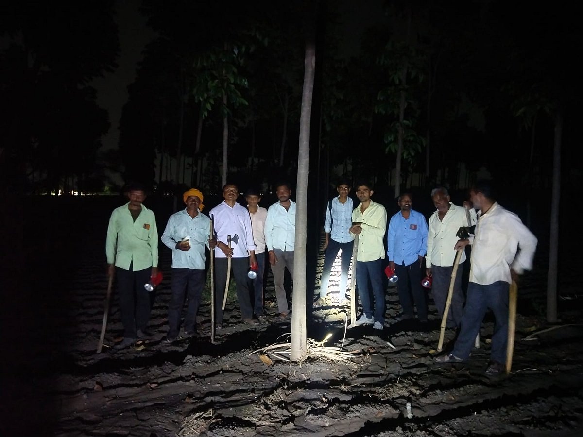 Search Operation by Locals