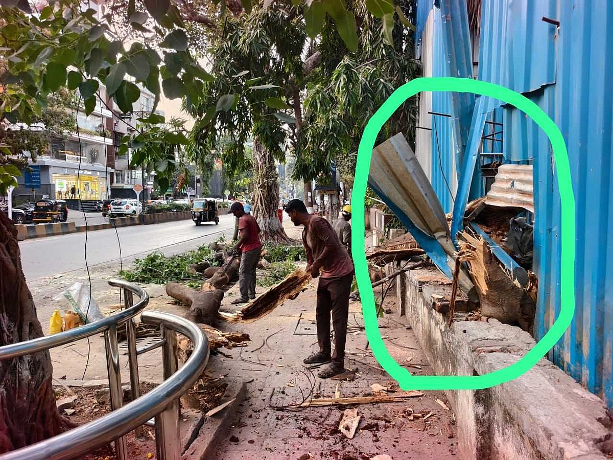 Tree reportedly fell from a construction site onto the auto-rickshaw