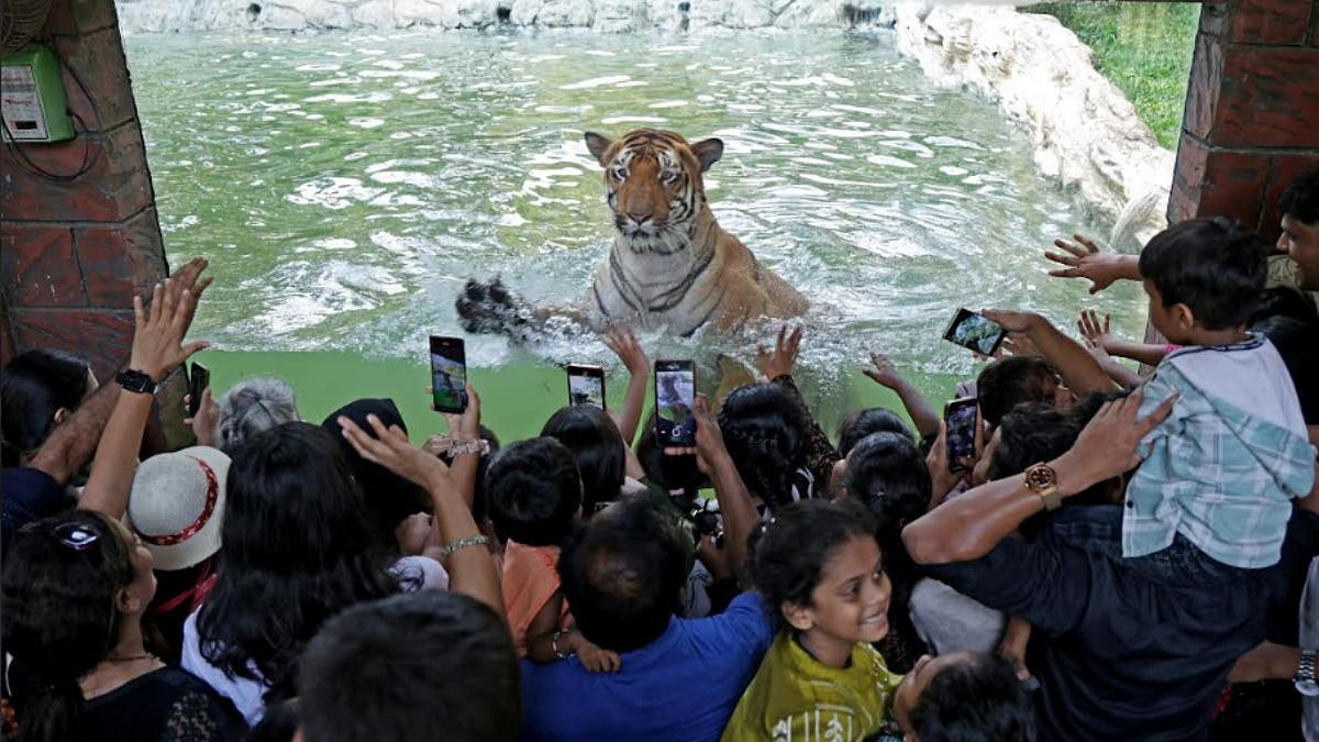 A large number of visitors thronged Byculla Zoo on Sunday during the
summer school vacation