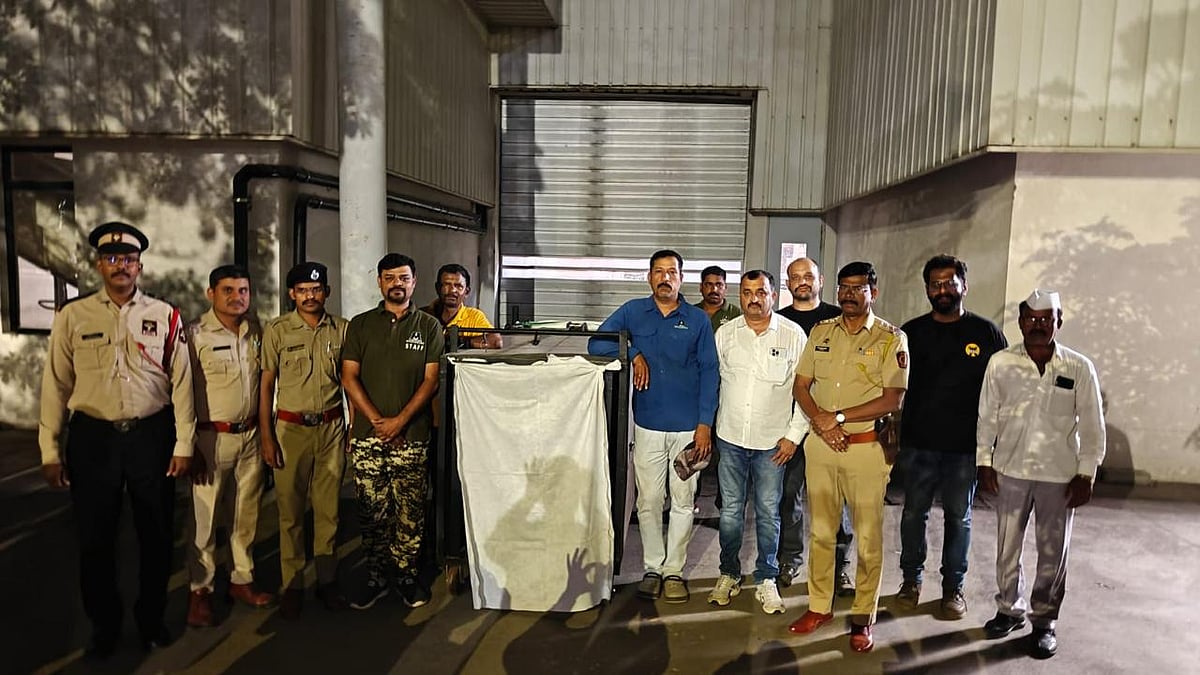 Pune: Leopard Captured After 2-Day Rescue Operation At Mercedes-Benz Plant In Chakan