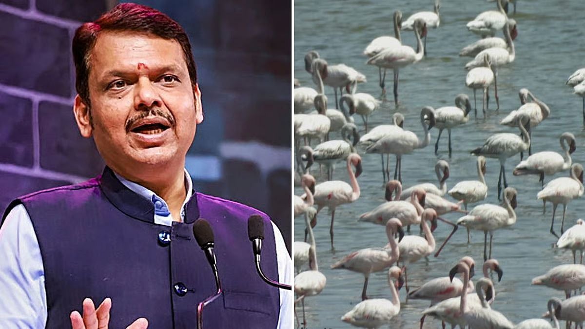 Environmentalists Urge Maharashtra CM Devendra Fadnavis To Expedite Legal Protection Of Over 23,000 Wetlands Amid Climate Concerns