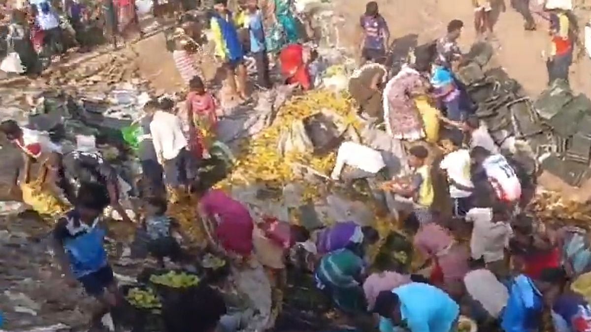 Palghar Accident: Mango-Laden Tempo Overturns On Mumbai-Ahmedabad Highway; Locals Collect Scattered Fruit | WATCH VIDEO